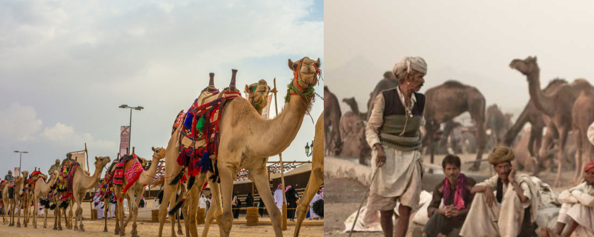 famous festival of rajasthan