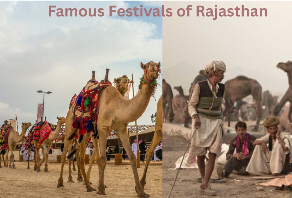 famous festival of rajasthan
